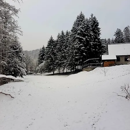 Villa Vikendica Tuzla, Dolina Mira